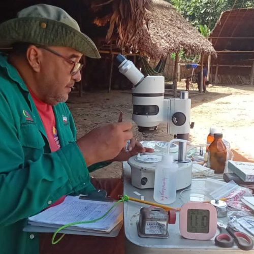 A person in a green jacket and hat is examining samples under a microscope at an outdoor makeshift laboratory setup, with traditional thatched structures in the background and various scientific tools and papers spread out on the table.